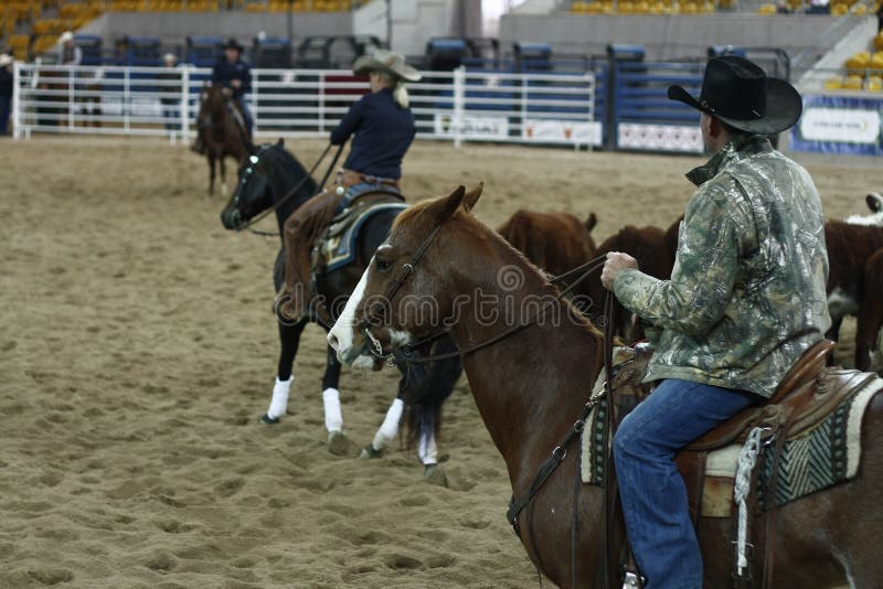 Lokala bönder som rider deras quaterhorses arkivbild