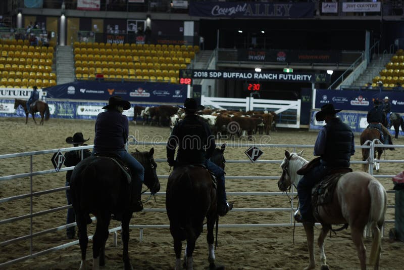 Lokala bönder som rider deras quaterhorses royaltyfri fotografi