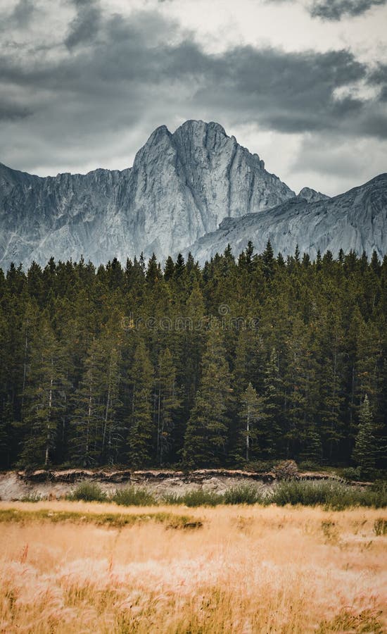 Lokalisierte Höchst- und umgebende Berge und Wälder in Nationalpark Banffs in Rocky Mountains in Alberta, Kanada stockfotografie Lokalisierte Höchst- und umgebende Berge und Wälder in Nationalpark Banffs in Rocky Mountains in Alberta, Kanada stockfotografie