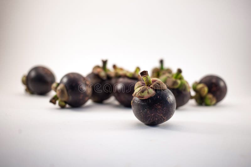 Lokalisierte Mangostanfr?chte Vielfr?chte lokalisiert auf wei?em Hintergrund stockbild Lokalisierte Mangostanfr?chte Vielfr?chte lokalisiert auf wei?em Hintergrund stockbild