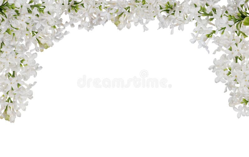 Lokalisierter halber Rahmen der weißen lila Blume lizenzfreies stockfoto Lokalisierter halber Rahmen der weißen lila Blume lizenzfreies stockfoto