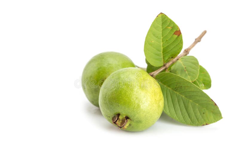 Lokalny Tajlandzki zielony guava obraz royalty free Lokalny Tajlandzki zielony guava obraz royalty free