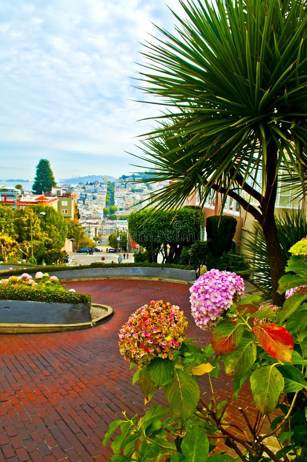 Lombard Street San Francisco Stock Photo - Image of destination, homes