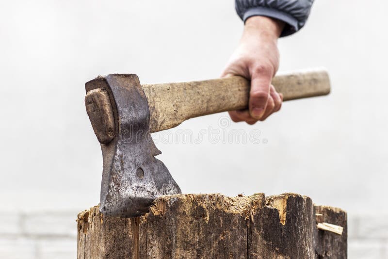 Lumberjack holds the handle of a sharp ax hammered in old stump. Lumberjack holds the handle of a sharp ax hammered in old stump