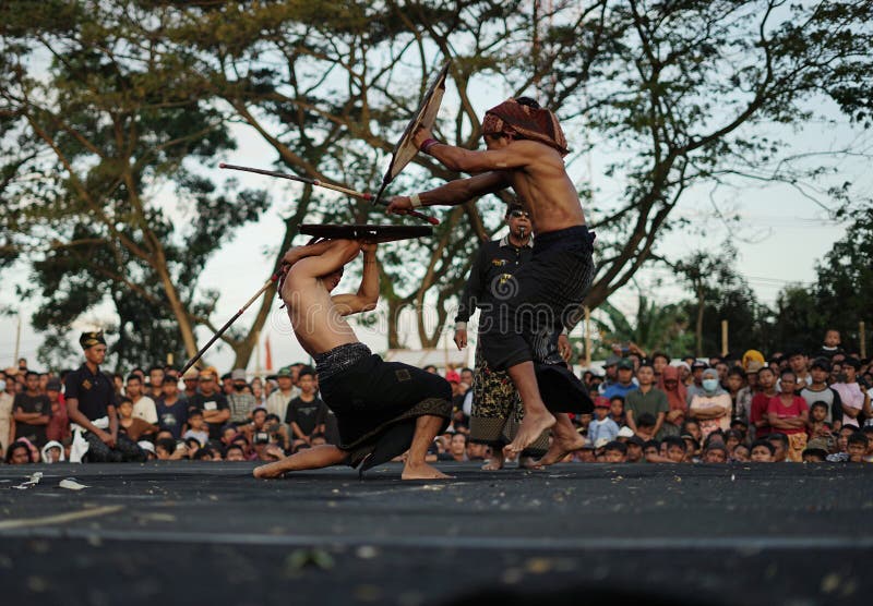 Stick Fighting (Silambam) Action Editorial Stock Photo - Image of sport,  recreation: 9563083