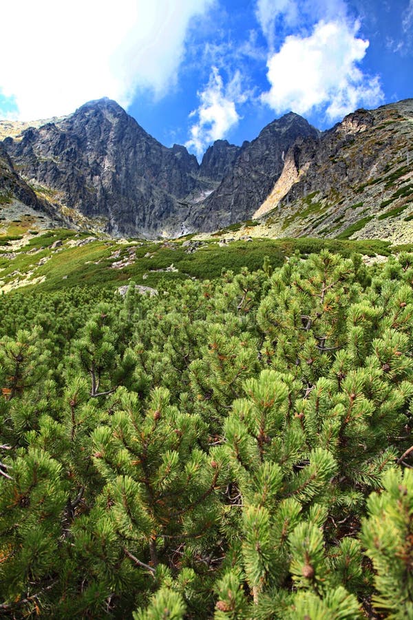 Lomnicky stit - peak in High Tatras mountains