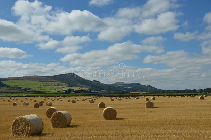 Lomond Hills View