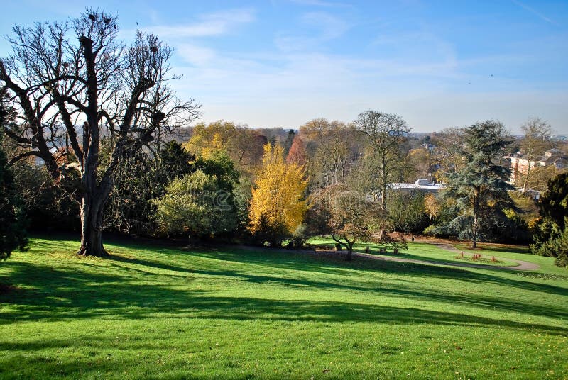 London Autumn, Richmond Park