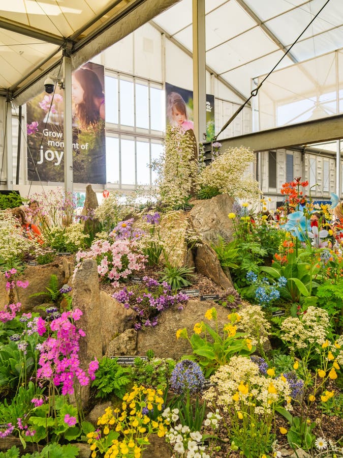 Beautifully Designed Gardens with Plants and Variegated Flower