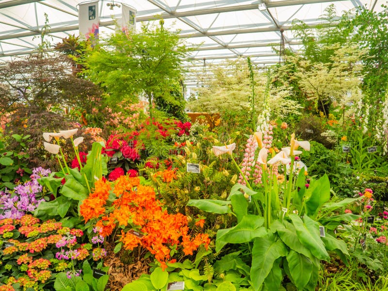 Beautifully Designed Gardens with Plants and Variegated Flower