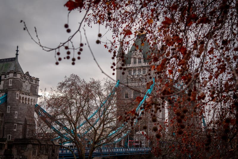LONDRES, INGLATERRA, o 10 de dezembro de 2018: Ponte da torre em Londres, o Reino Unido Visto atrás das árvores brancas da torre fotografia de stock royalty free LONDRES, INGLATERRA, o 10 de dezembro de 2018: Ponte da torre em Londres, o Reino Unido Visto atrás das árvores brancas da torre fotografia de stock royalty free
