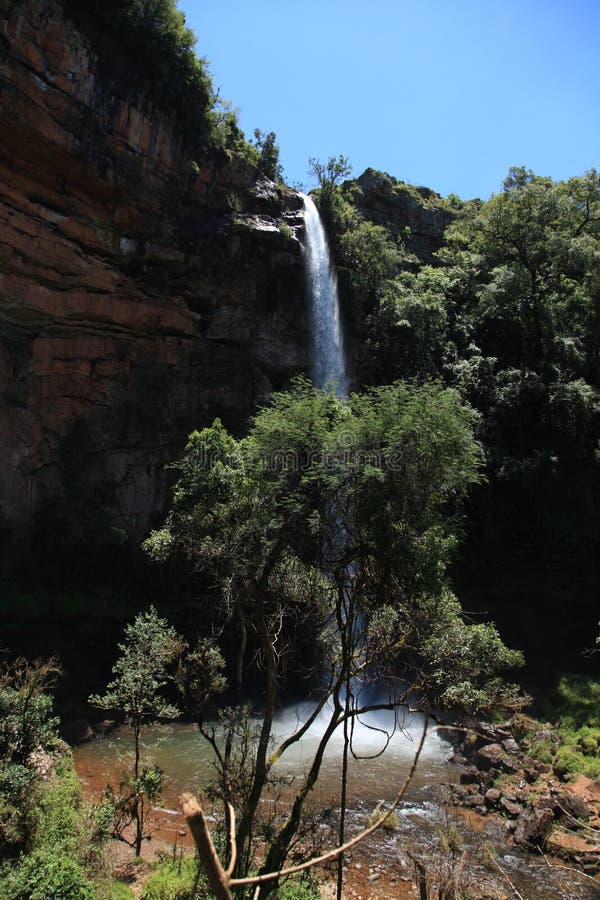 Lone Creek Falls stock photo. Image of mountains, lone 29430238
