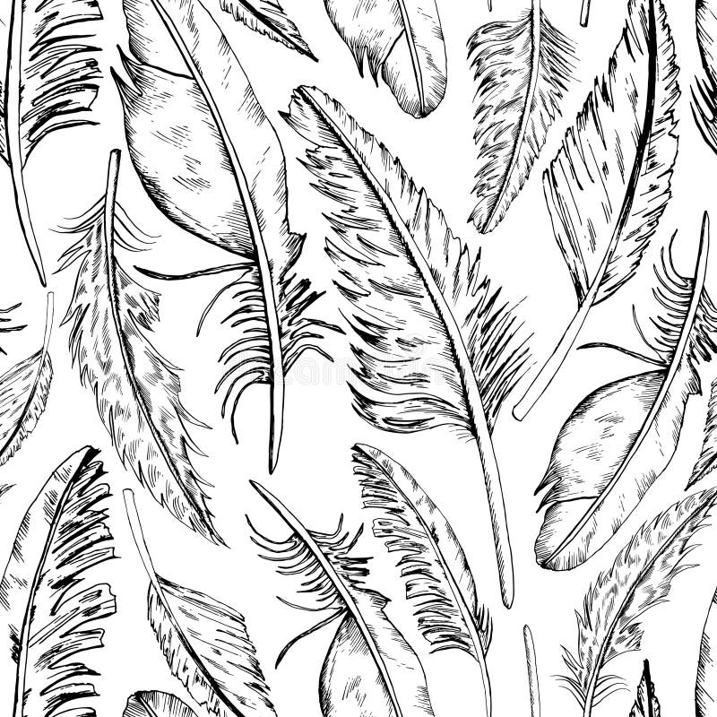 Lone_Feathers illustrazione vettoriale Lone_Feathers illustrazione vettoriale