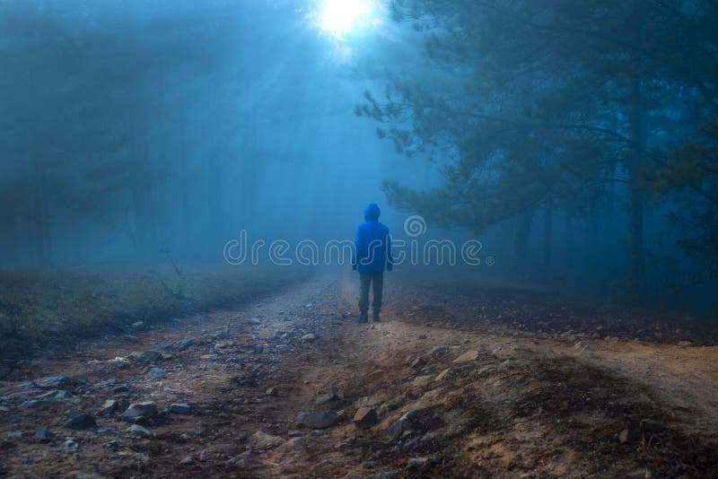 A Lone Man Walking Into A Mystic Forest