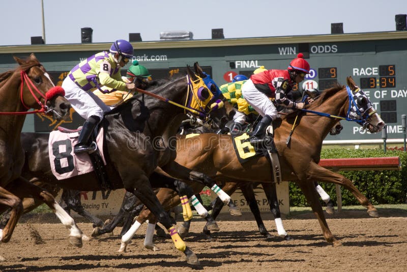 Lone Star Park Races 1 editorial stock photo. Image of texas 5476998