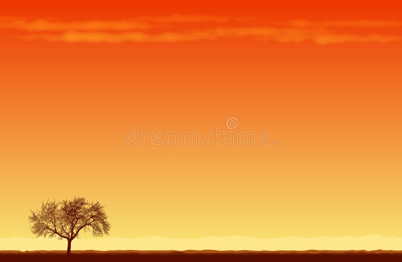 Lone Tree in the Desert