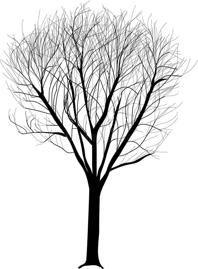 Ilustrare arbore singuratic vector illustration