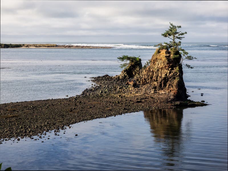 A lone tree struggles to survive on a rock outcrop in Siletz Bay at Lincoln City, Oregon. A lone tree struggles to survive on a rock outcrop in Siletz Bay at Lincoln City, Oregon.