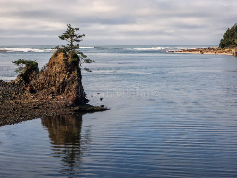 A lone tree struggles to survive on a rock outcrop in Siletz Bay at Lincoln City, Oregon. A lone tree struggles to survive on a rock outcrop in Siletz Bay at Lincoln City, Oregon.