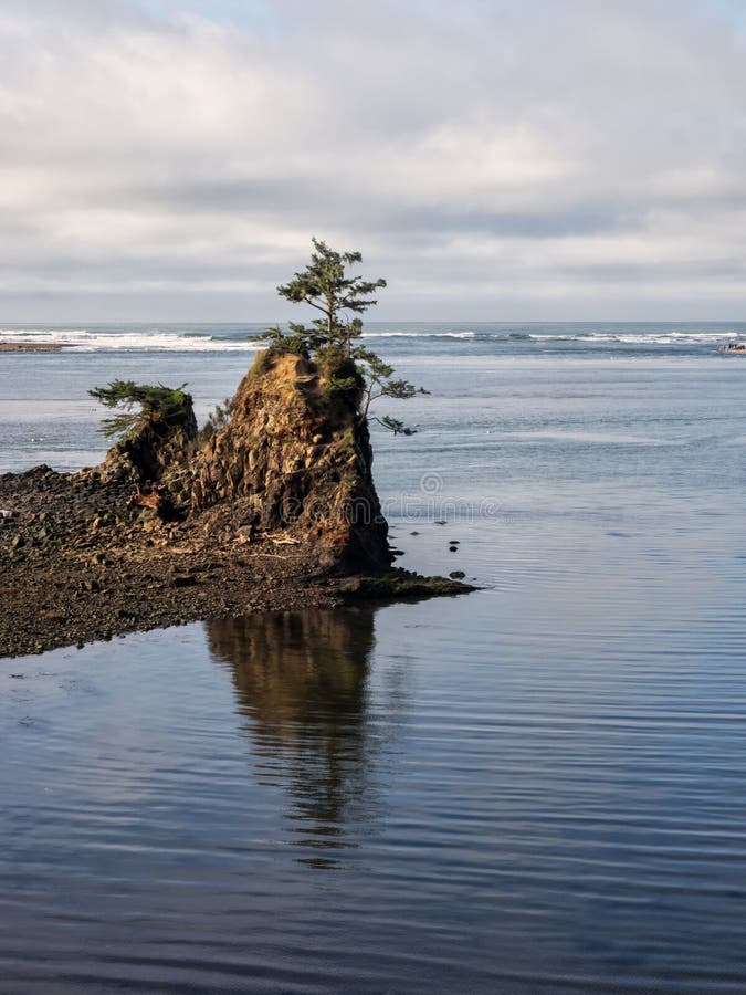 A lone tree struggles to survive on a rock outcrop in Siletz Bay at Lincoln City, Oregon. A lone tree struggles to survive on a rock outcrop in Siletz Bay at Lincoln City, Oregon.