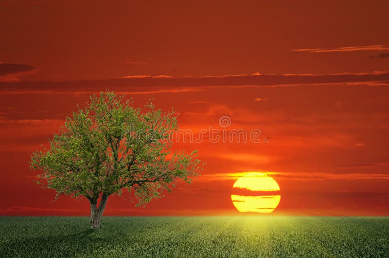 8 Examples Of Testing