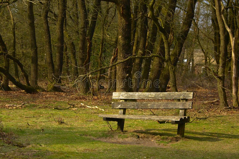 Loneley bänk på skogkanten royaltyfri fotografi Loneley bänk på skogkanten royaltyfri fotografi