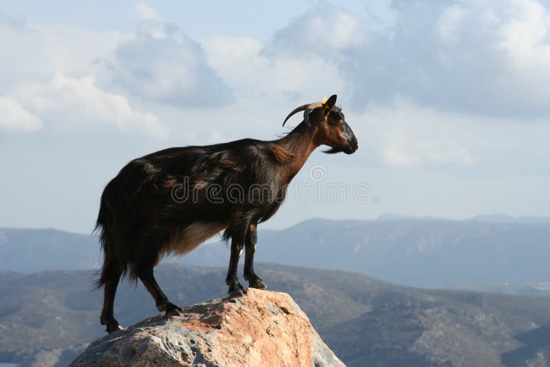 Loneliness royalty free stock photo