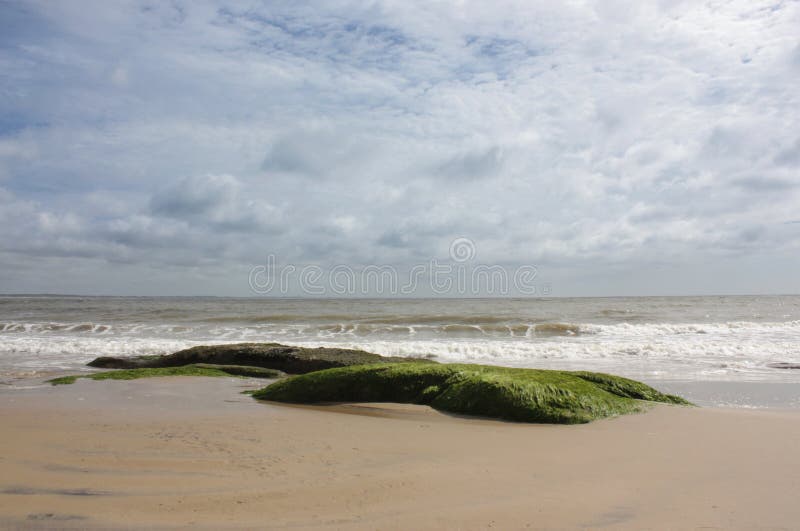 Lonely beach rocks with seaweed