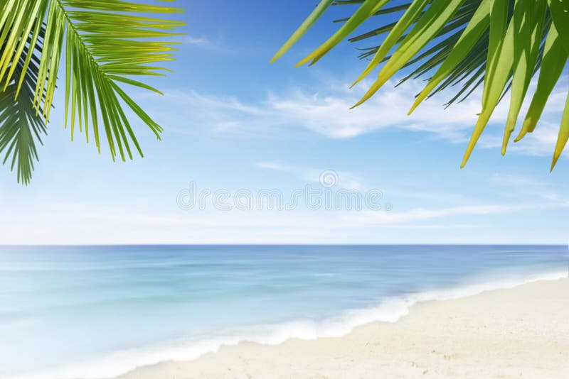 Einsam Strand manche palmen.
