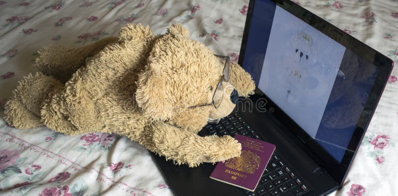 Lonely Bear Looking For Love On The Internet royalty free stock photo Lonely Bear Looking For Love On The Internet royalty free stock photo