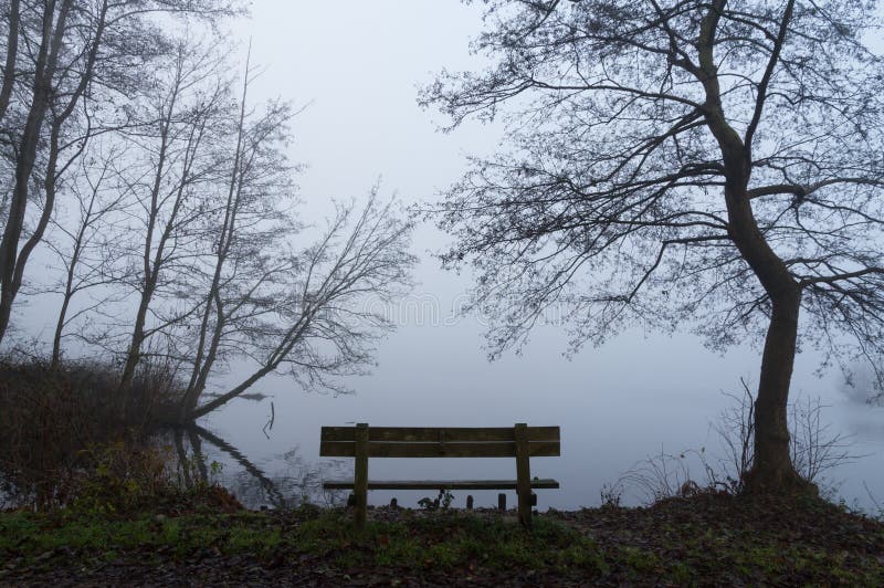 Lonely bench