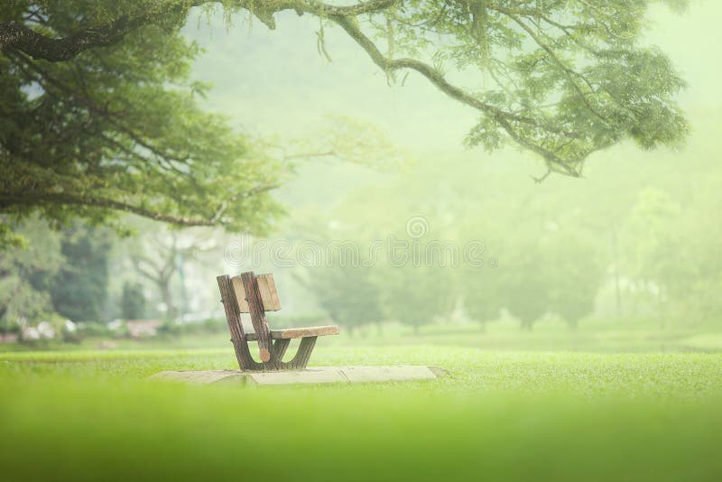 Lonely Chair Near Lake and Nature Background. Shallow DOF. Stock Photo -  Image of concept, alone: 117539774