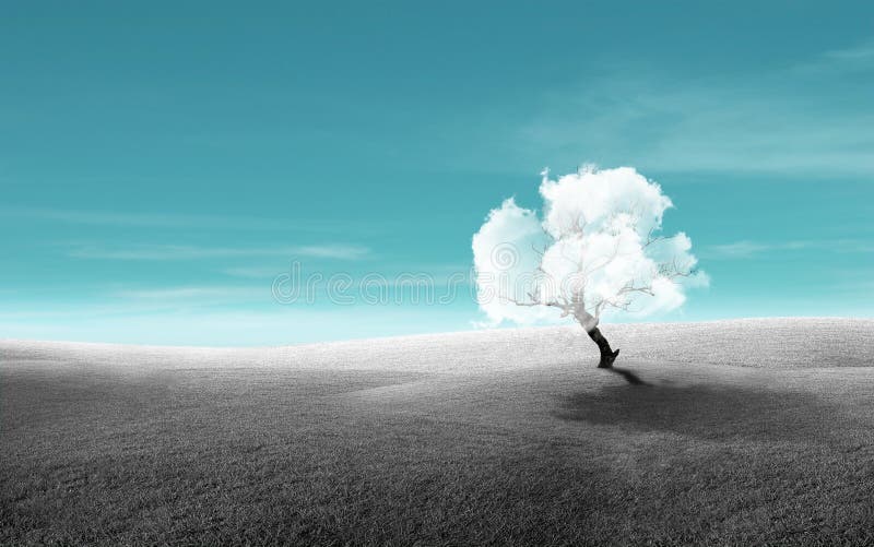Lonely cloud tree standing on green grass meadow field. royalty free stock photo