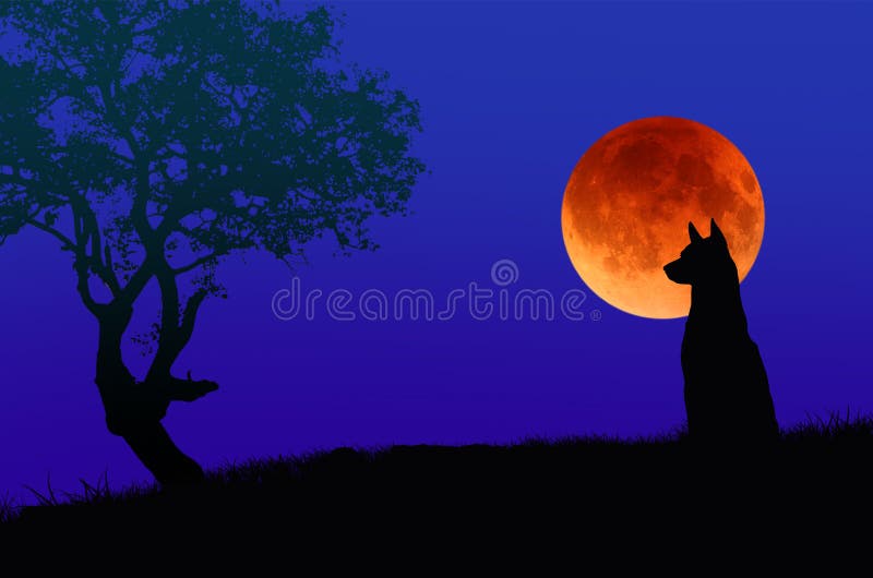 Red Moon Images – Browse 1,798 Stock Photos, Vectors, and Video