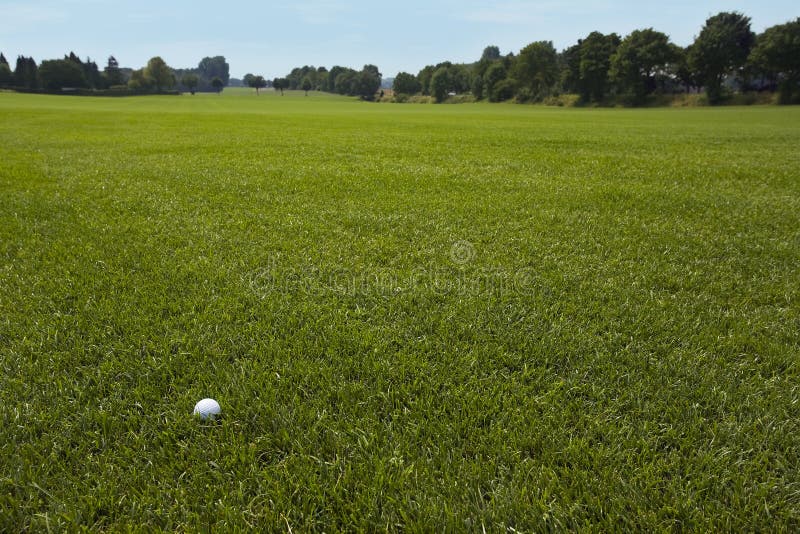 Lonely Golf Ball on Huge Green Lawn Stock Photo Image of lawn, grass
