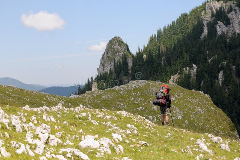 Lonely hiker