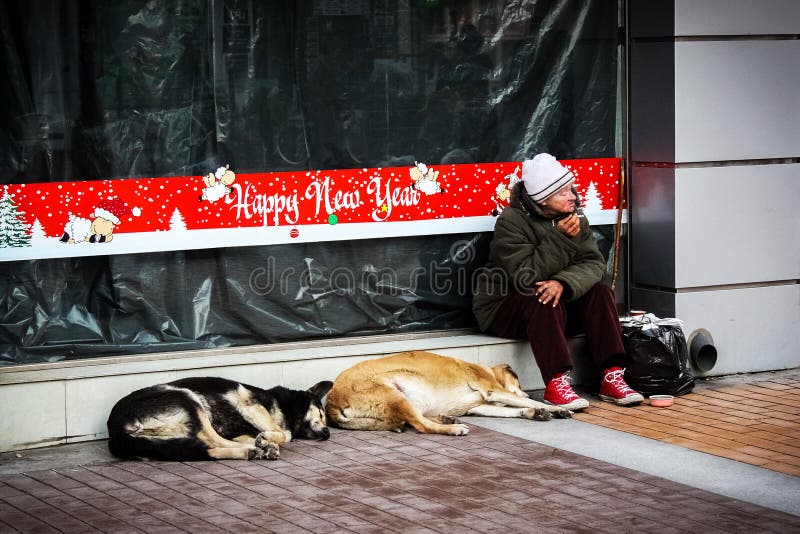 A lonely, homeless, alcohol-dependent woman sitting in front of the showcases with New Year`s decoration with two street dogs.Sofi royalty free stock photo A lonely, homeless, alcohol-dependent woman sitting in front of the showcases with New Year`s decoration with two street dogs.Sofi royalty free stock photo
