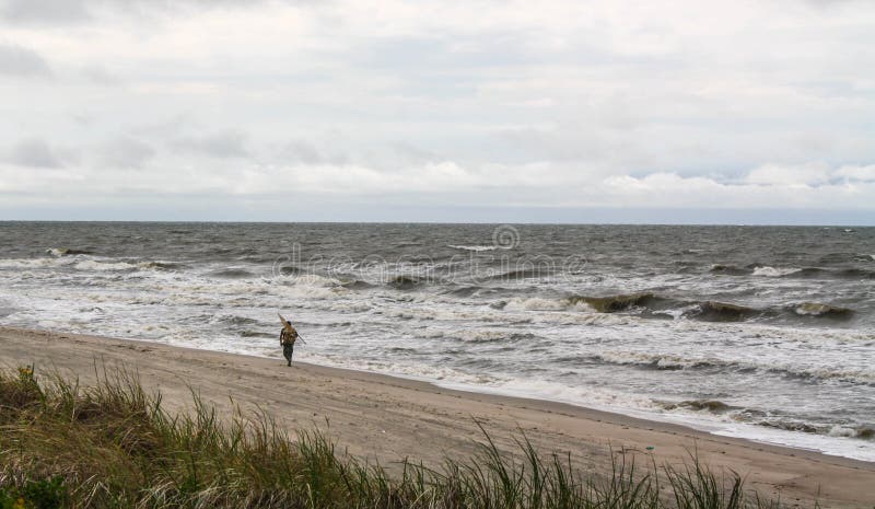 Lonely man on the beach. Amber gathering, stormy weather.