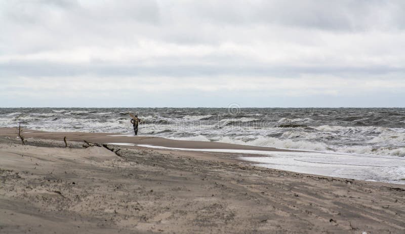 Lonely man on the beach. Amber gathering, stormy weather.