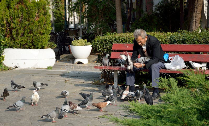 Lonely man feeding pigeons royalty free stock images Lonely man feeding pigeons royalty free stock images