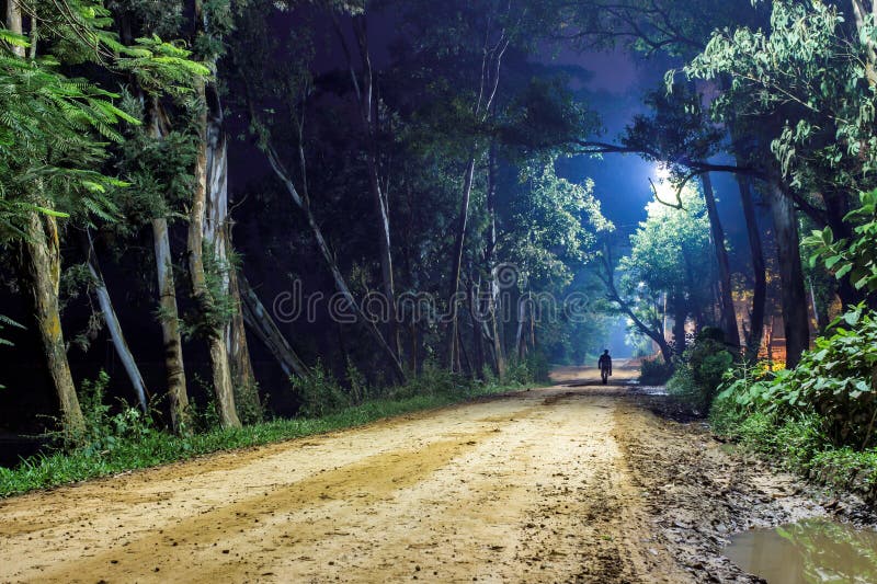 Un uomo solitario, cammina lungo una strada forestale o sterrato da solo, il blu profondo del cielo notturno sopra e alberi di alto fusto che circondano il percorso.