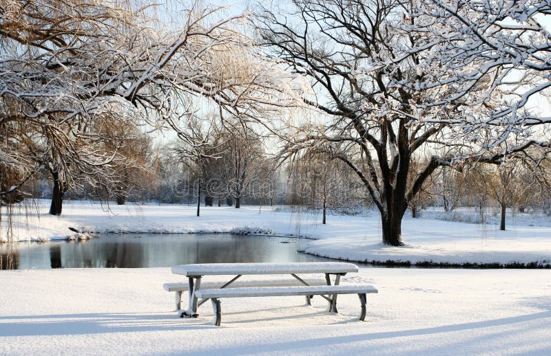 Lonely park in christmas eve