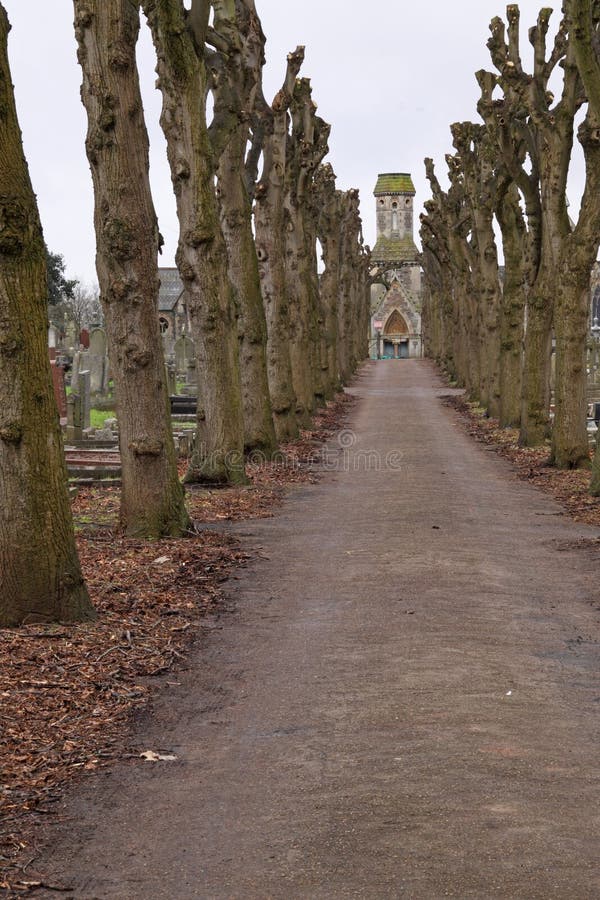 Winter lime trees converging on a graveyard chapel. Winter lime trees converging on a graveyard chapel
