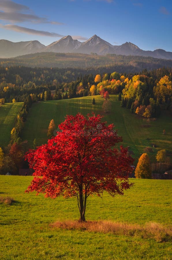 Krásná podzimní venkovská krajina.