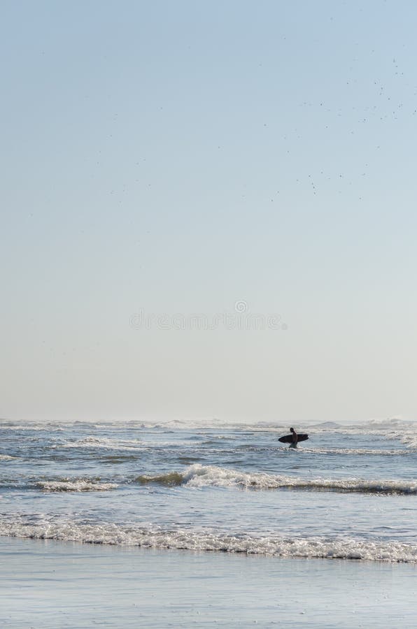 Lonely silhouette of surfer holding his board and walking on the beach in the Pacific ocean stock photos