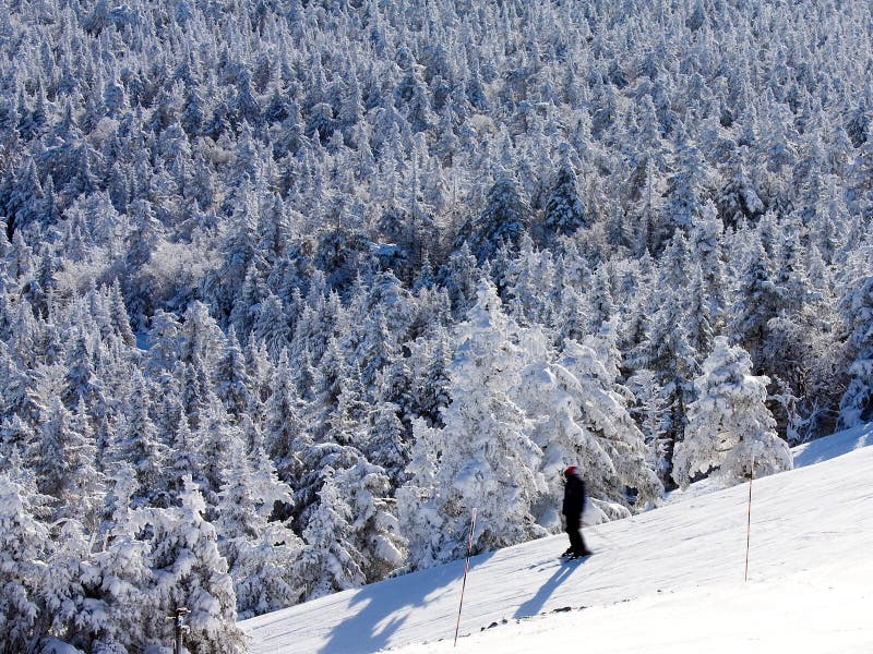 Lonely Skier