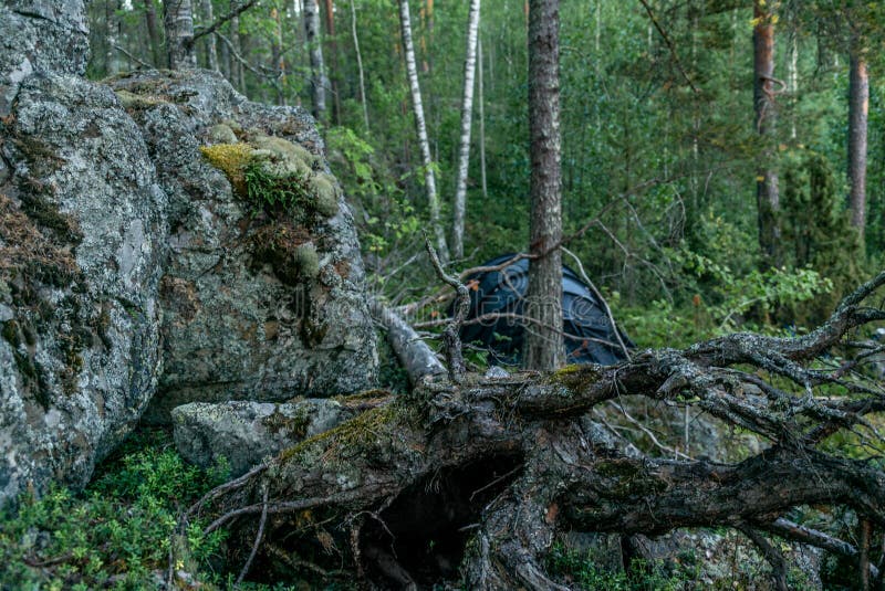A lonely tent in the wild forest on the shore of the Saimaa lake royalty free stock photos A lonely tent in the wild forest on the shore of the Saimaa lake royalty free stock photos