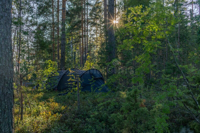 A lonely tent in the wild forest on the shore of the Saimaa lake royalty free stock images A lonely tent in the wild forest on the shore of the Saimaa lake royalty free stock images
