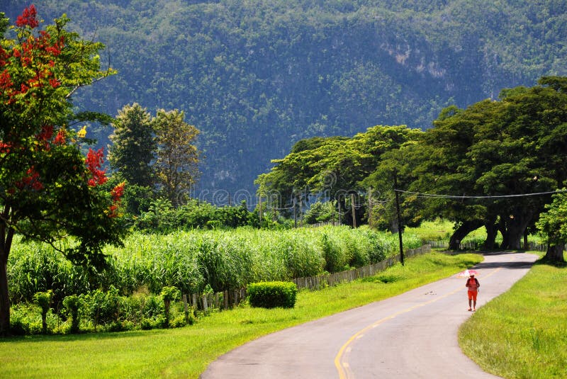 Lonely traveler on the road