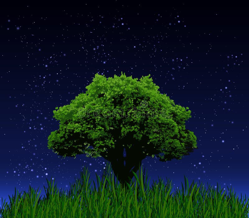 Lonely Tree on a Background of Night Sky Stock Vector Illustration of